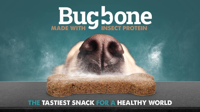 LOGO_BugBone made with insect protein