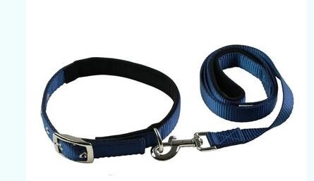 LOGO_Nylon Leash & Collar Set (Blue)