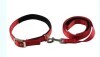 LOGO_Nylon Leash & Collar Set (Red)