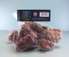 LOGO_MAPLE LEAF AND SEIRYUA STONES
