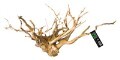 LOGO_Spiderwood