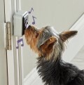 LOGO_Talking Pet Doorbell
