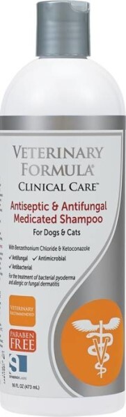 LOGO_Antiseptic & Antifungal Medicated Shampoo