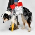 LOGO_Dog Rescue Blanket