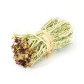 LOGO_Timothy bouquet with various treats for all rodents