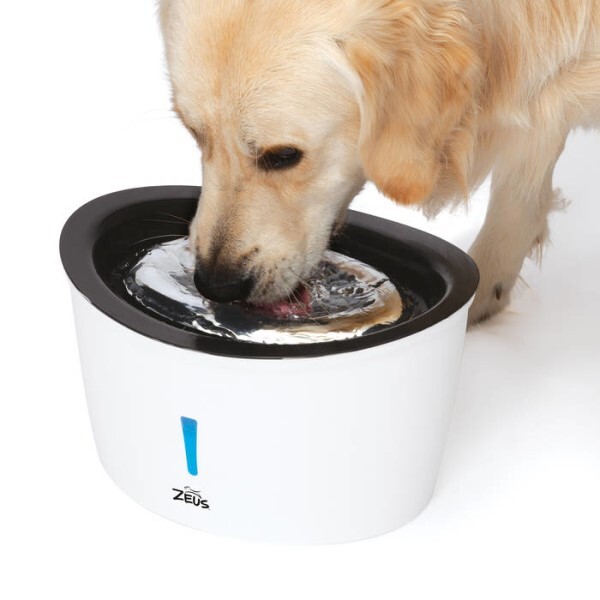 LOGO_Zeus Cascade Dog Drinking Fountain with Stainless Steel Top