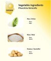 LOGO_Vegetable ingredients