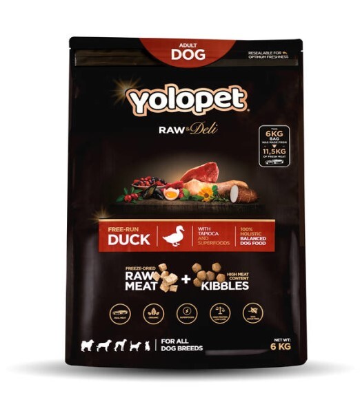 LOGO_Freeze dried dog food