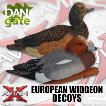 LOGO_Avian-X Eurasian Widgeon Decoys