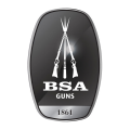 LOGO_BSA GUNS