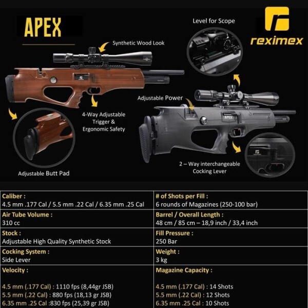 LOGO_APEX