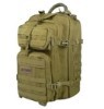 LOGO_Assault Backpack