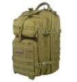 LOGO_Assault Backpack