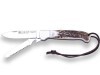 LOGO_MULTIFUNCTION KNIFE JOKER CANGURO III STAINLESS STEEL BLADE + BLADE WITH SAW, STAG HORN SCALES, STAINLESS BOLSTER.