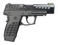 LOGO_P15TM Concealable / Dependable / Firepower