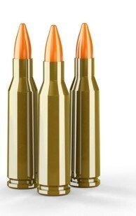 LOGO_5,45 x 39 55 gr FMJ