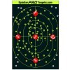 LOGO_12×18 Large Bullseye Target