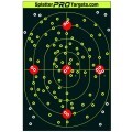LOGO_12×18 Large Bullseye Target
