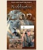 LOGO_BODDINGTON ON LION (DVD)