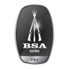 LOGO_BSA GUNS