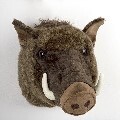 LOGO_Boar head trophy plush