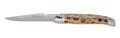 LOGO_10cm pocket knife amber cholla cactus