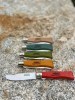 LOGO_MAM Douro rounded tip pocket knife