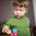 LOGO_LITTLE BIRD – alle Funktionen in einem System