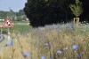 LOGO_Bayerisches Artenschutzzentrum und Biodiversitätsförderung in Kommunen