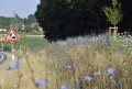 LOGO_Bayerisches Artenschutzzentrum und Biodiversitätsförderung in Kommunen