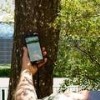 LOGO_Digitale Baumkontrolle und -pflege