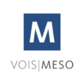 LOGO_VOIS|MESO (Meldewesen)