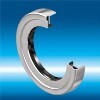LOGO_MultiSeal Standard