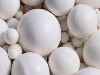 LOGO_Ceramic Grinding / Inert Balls for fine micronization and catalytic supports
