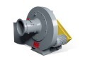 LOGO_RotoClone® W
