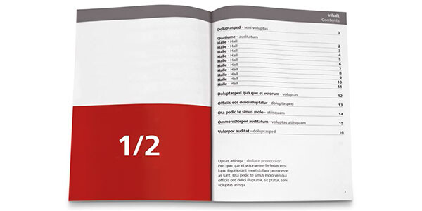 EUROGUSS Marketingpaket Print-Medien EUROGUSS Abbildung der Print-Medien